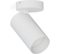 Lampa sufitowa Nowodvorski Biały downlight pokojowy Mono 7807 metalowa tuba kierunkowy spot | 65621-uniw  | 5903139780797