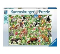 Puzzle 2000 elements Jungle | RAP 168248  | 4005556168248