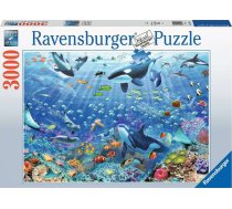 Puzzle 3000 elements Underwater world | 17444  | 4005556174447