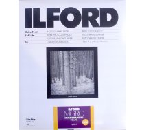 Ilford 1x25 Ilford MG RC DL 25M 18x24 | HAR1180497  | 0019498180491