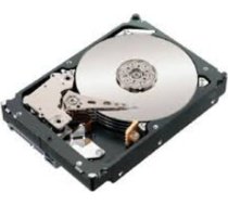 Lenovo 500 GB 2,5 collu SATA III (6 Gb/s) servera diskdzinis (FRU42D0753) | FRU42D0753  | 5711045547317