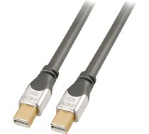Lindy DisplayPort Mini — DisplayPort Mini kabelis 2 m sudraba krāsā (36307) | 36307  | 4002888363075