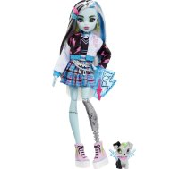 Mattel Monster High Frenkijs Steins HHK53 | HHK53  | 0194735069781