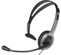 Panasonic TCA430 austiņas (RP-TCA430E-S) | RP-TCA430E-S  | 4052305264232