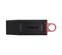 Kingston MEMORY DRIVE FLASH USB3.2/256GB DTX/256GB