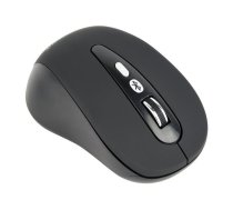 Gembird 6-button wireless optical mouse MUSW-6B-01 USB, Black