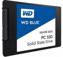 Western Digital 250GB WDS250G2B0A