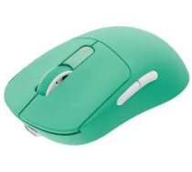 Bezvadu pele Fury Tanto T4 Mint Green