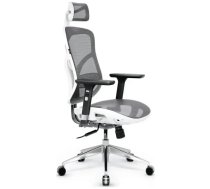Ergonomic chair Diablo Chairs V-Basic white-gray