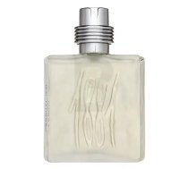 Cerruti 1881 pour Homme Tualetes ūdens vīriešiem 100 ml
