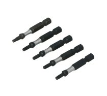 Uzgalis trieciena 1/4 50mm Draumet Torx T15 S2 5gab.