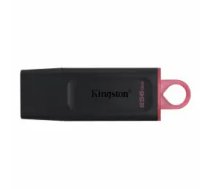 Kingston DataTraveler Exodia 256GB