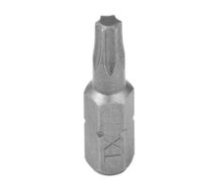 Torx uzgalis T20