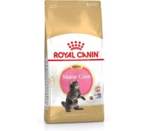 Sausais kaķu barība Royal Canin Maine Coon Kittens 4 kg — vistas garša, 36% olbaltumvielu, 23% tauku