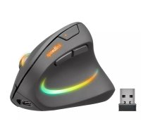 Pele SPEEDLINK SL-630026-BK RF Wireless Optical