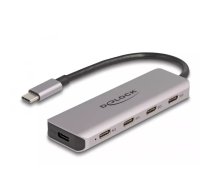 DeLOCK 64238 interfeisa centrmezgls USB 3.2 Gen 1 (3.1 Gen 1) Type-C 5000 Mbit/s Pelēks