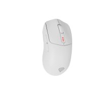 Pele GENESIS Zircon 500 RF Wireless + Bluetooth + USB Type-C