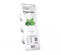 Garšaugu komplekts EMSA Click & Grow Piparmētra Iekštelpu augs 4742793007397