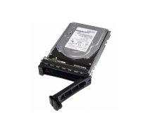 Dell SSDR 256G S3 7MM LTN M6S