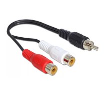 DeLOCK 84493 audio kabelis 0,2 m RCA 2 x RCA Melns