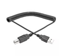 Tripp Lite U022-010-COIL USB kabelis 3,1 m USB 2.0 USB A USB B Melns