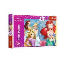 Puzzle 30 gabaliņi Disney Princess