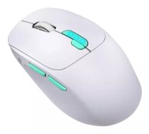 Pele Defender NITTA MM-307 RF+BT OPTIC 1600dpi 6P WHITE