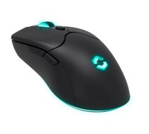 Peles paliktnis SPEEDLINK SL-680102-BK