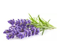 Augšanas kapsulas Click and Grow WFR30X9 — 9 gab. Lavanda