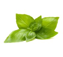 Click & Grow Lemon Basil nomaiņas kapsulas 3 gab. — citrusu baziliks Smart Garden