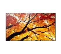 Profesionāls LED monitors SHARP NEC MultiSync PN-M752 74,5" 4K UHD 550 cd/m² IPS 24/7 melns