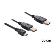 DeLOCK 83178 USB kabelis USB 2.0 0,3 m 2 x USB A Melns