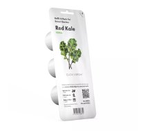 Sākuma komplekts Click & Grow Red Kale Plant Pods