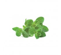 Zaļumu uzpilde Click and Grow Oregano — 3 podiņa sēklu kapsulas viedajam dārzam