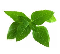 Papildinājuma kārtridži Click & Grow Smart Garden — Taizemes baziliks, 3 gab.