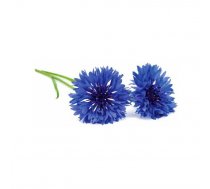 Aizstājējkatridži Click and Grow Smart Garden «Cornflower» — komplekts 3 gab.