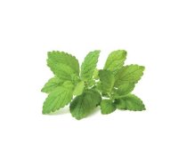 Rezerves kapsulas Click and Grow SGR12X3 — 3 gab. komplekts iekštelpu viedo dārzu