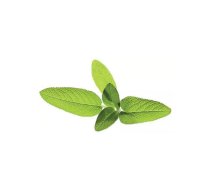 Garšaugu uzpilde Click & Grow Smart Garden — Timiāns (Salvija), 3 gab.