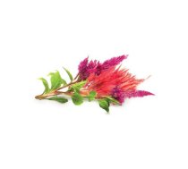 Papildināšanas kapsulas Click and Grow Smart Garden — Cockscomb (3 gab.)