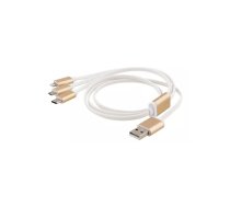 Deltaco USB-MULTI10 USB kabelis 1 m USB A USB C Zelts, Balts