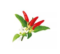 Piepildījums Click & Grow RED HOT CHILI PEPPER PLANT PODS