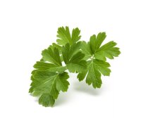 Aizvietojamais komplekts Edible plant Click & Grow PLAIN PARSLEY PLANT PODS