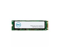 SSD diskdziņš DELL 256GB M.2 Serial ATA AA615517