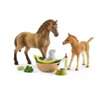 Dzīvnieku kopšanas komplekts Schleich HORSE CLUB Sarah's baby animal care