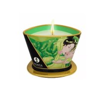 SHUNGA Exotic Green Tea 170 ml 1 pcs 40 h