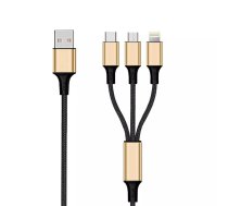 USB kabelis 2GO 797152 3m USB B USB C/Micro-USB B/Lightning Melns Zelts