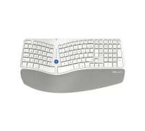 Bezvadu ergonomiskā tastatūra Delux GM901D BT+2.4G (balta)