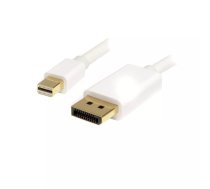 Mini DisplayPort uz DisplayPort kabelis StarTech MDP2DPMM1MW