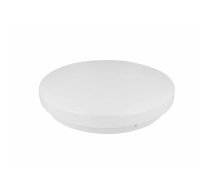 Griestu lampa LEDOM 470669 12W 4000K LED, 12 W, neitrāli balta 4000K