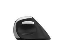 Pele Rapoo EV250 RF Wireless Optical